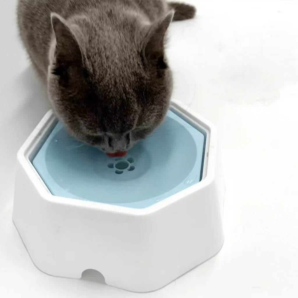 No Spill Pet Water Bowl – Anti - Splash Floating Dog & Cat Bowl for Home, Travel & Car for sale - High quality | Mufaal.com