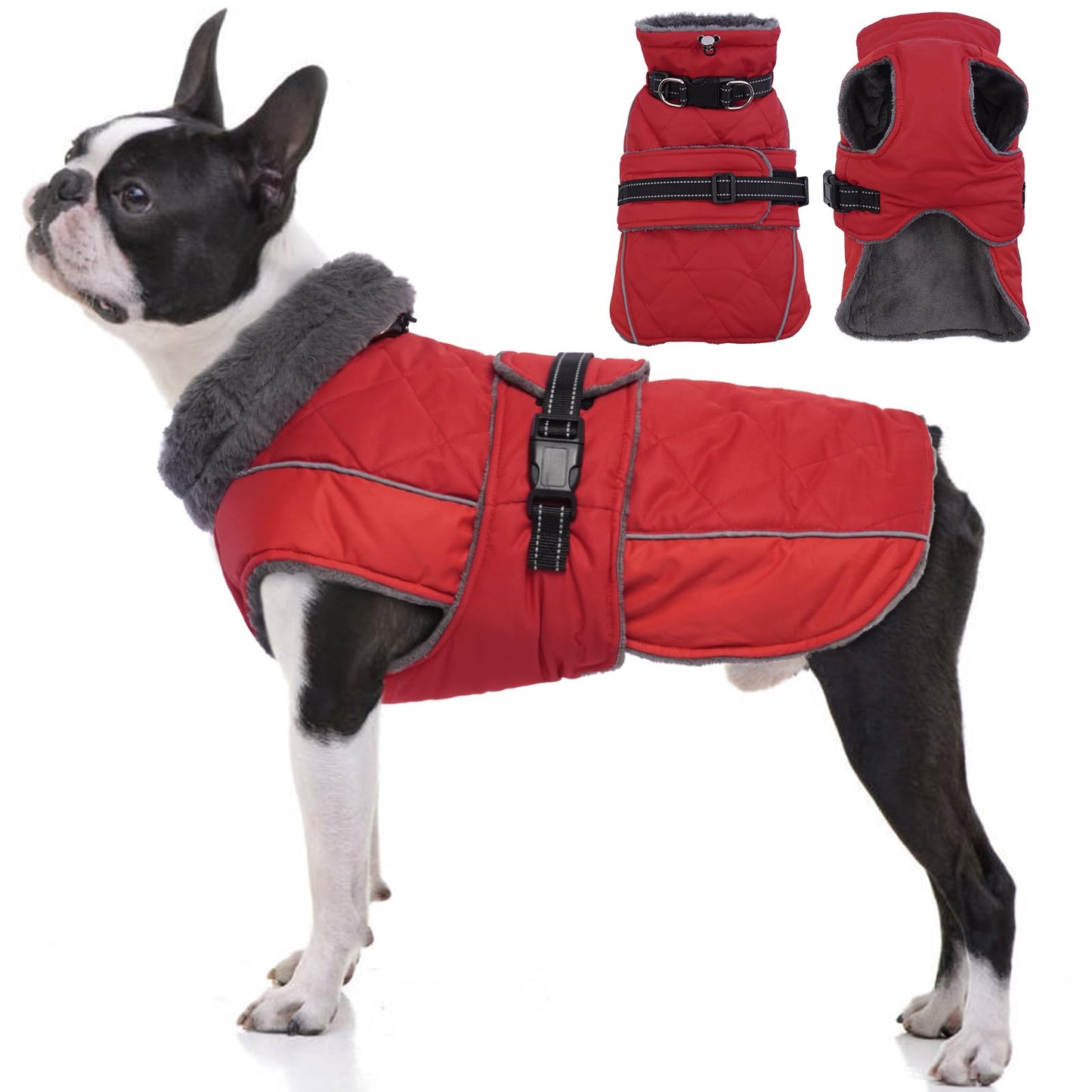 Waterproof dog winter coat by Mufaal.com with warm fleece lining and reflective strips, available in all sizes.