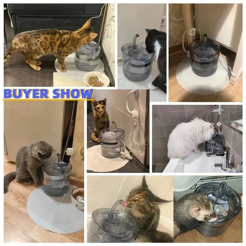 Automatic Cat Water Fountain 2L – Ultra Quiet Pet Water Dispenser with Charcoal Filter & Flowing Water System for sale - High quality | Mufaal.com