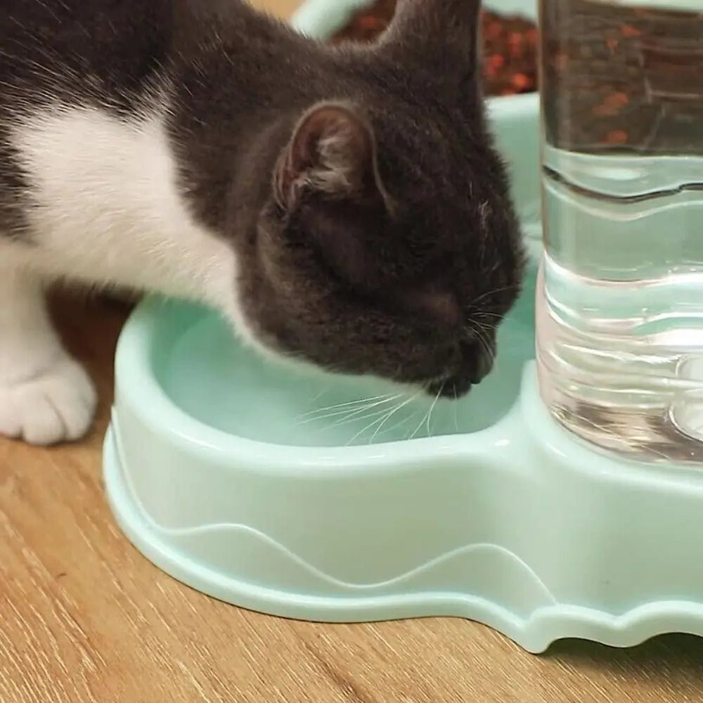 Automatic Pet Feeder & Water Dispenser 3.8L – Gravity Food & Water Bowl for Cats & Dogs for sale - High quality | Mufaal.com