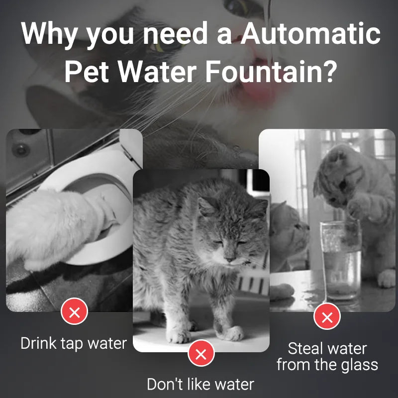 Automatic Pet Water Fountain – Keep Your Cat Healthy &amp; Hydrated for sale - High quality | Mufaal.com