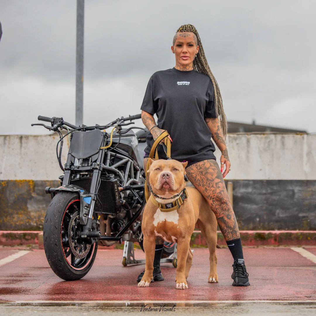 BESTIA DOG SPORT GripPro Leash for sale - High quality Leads & Head Collars | Mufaal.com