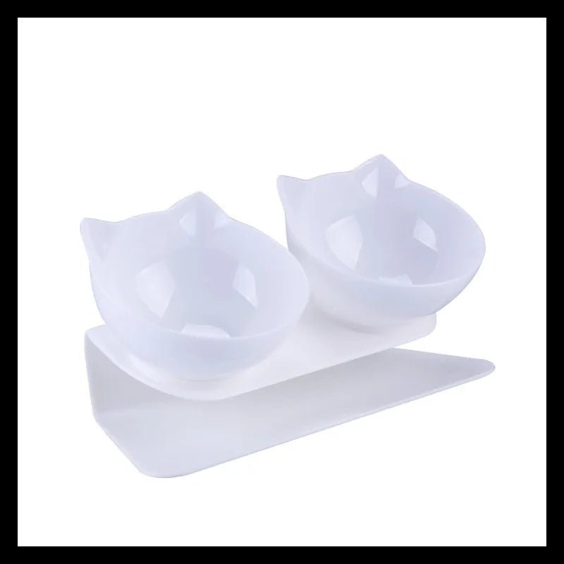 Raised cat and dog feeder bowls with 15-degree tilt, stand, and water bowl for easy feeding and drinking for pets.