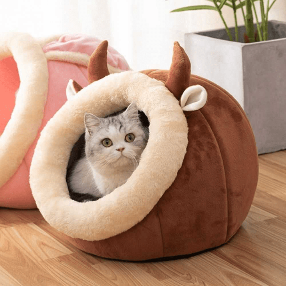 Cozy Semi - Enclosed Cat Bed – Soft Plush Cat Nest House, Warm & Breathable Pet Bed, Secure Sleeping Cave for Indoor Cats (Rabbit & Cartoon Designs, Multiple Sizes) for sale - High quality | Mufaal.com
