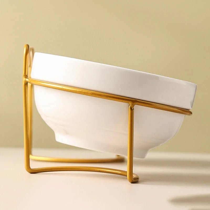 Elevated ceramic pet bowl for cats and small dogs, ergonomic design with anti-spill feature and stylish look.