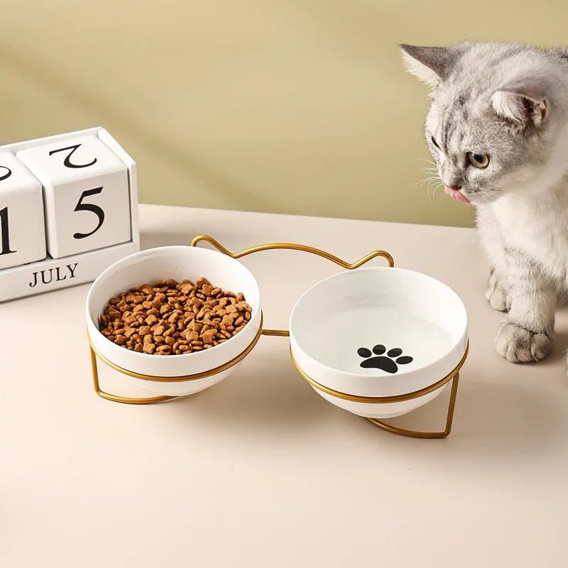 Elevated ceramic double pet bowl for cats and small dogs, featuring ergonomic design and anti-spill functionality.