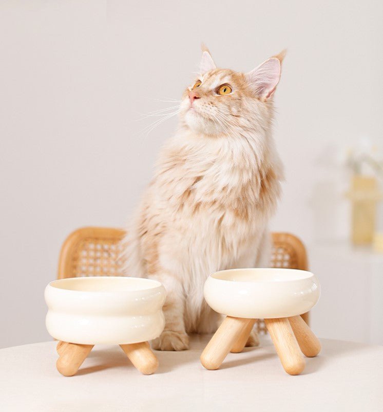 Gulu Ceramic Pet Food Bowl for sale - High quality Feed | Mufaal.com