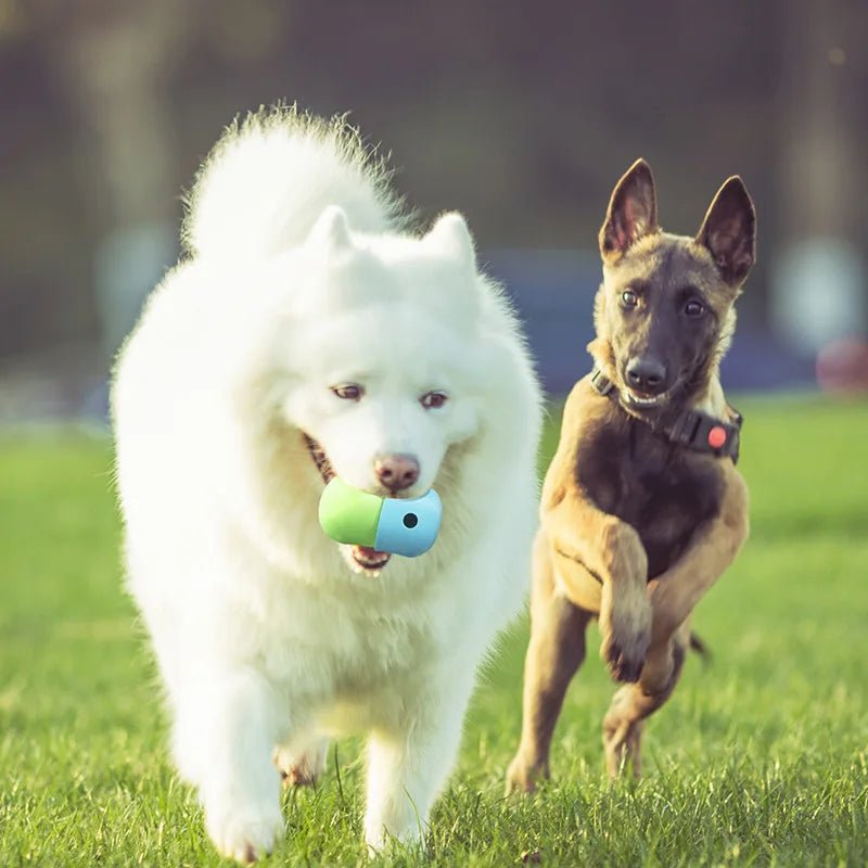 Interactive Dog Treat Ball – Silicone Slow Feeder Toy for Mental Stimulation & Healthy Digestion for sale - High quality | Mufaal.com