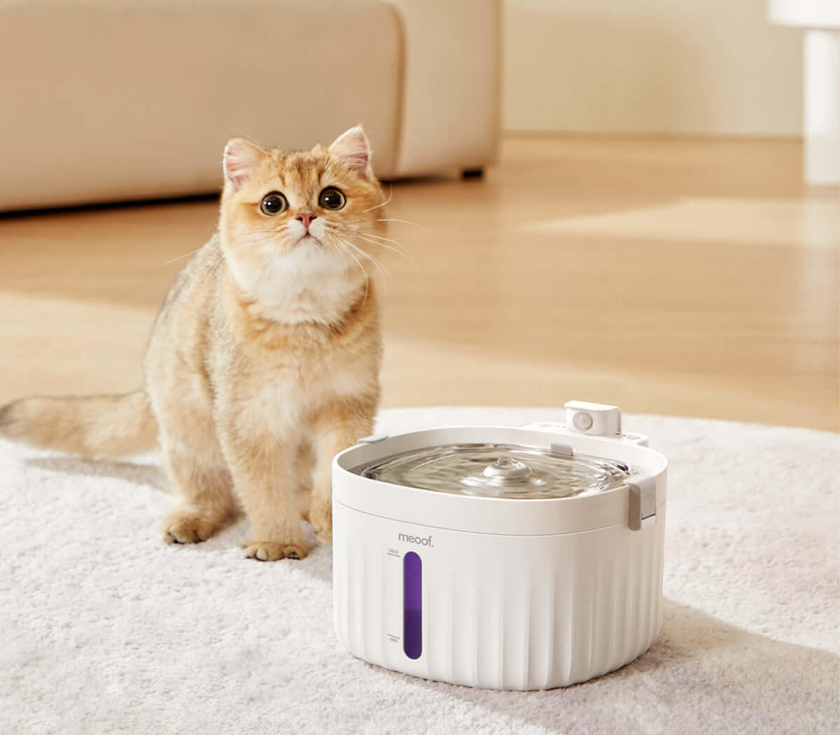 Smart Pet Water Fountain for sale - High quality Feed | Mufaal.com