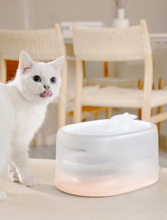 Smart Temperature UVC Sterilization Water Fountain for sale - High quality Feed | Mufaal.com
