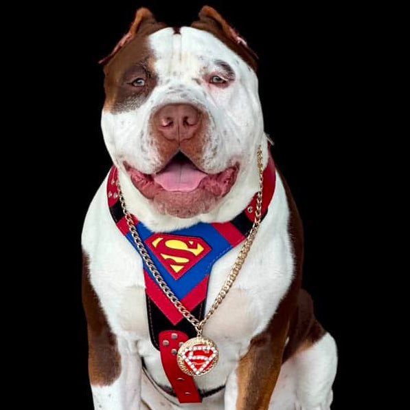 Superdog Harness for sale - High quality Harnesses | Mufaal.com