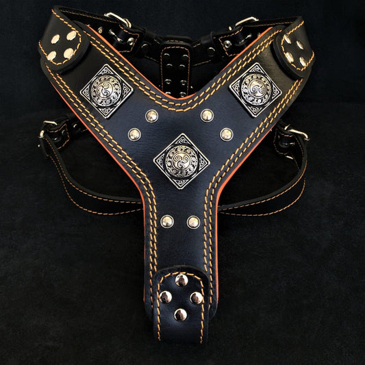 The "Eros" harness Black & Orange for sale - High quality Harnesses | Mufaal.com