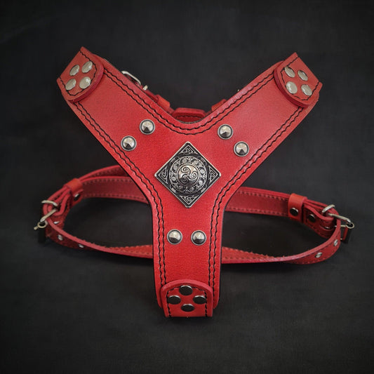 The ''Eros'' harness red Small to Medium Size for sale - High quality Harnesses | Mufaal.com