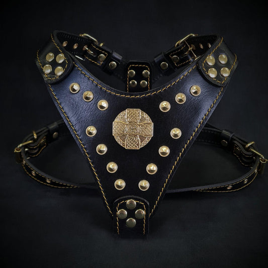 The ''Maximus'' harness Black & Gold Small to Medium Size for sale - High quality Harnesses | Mufaal.com