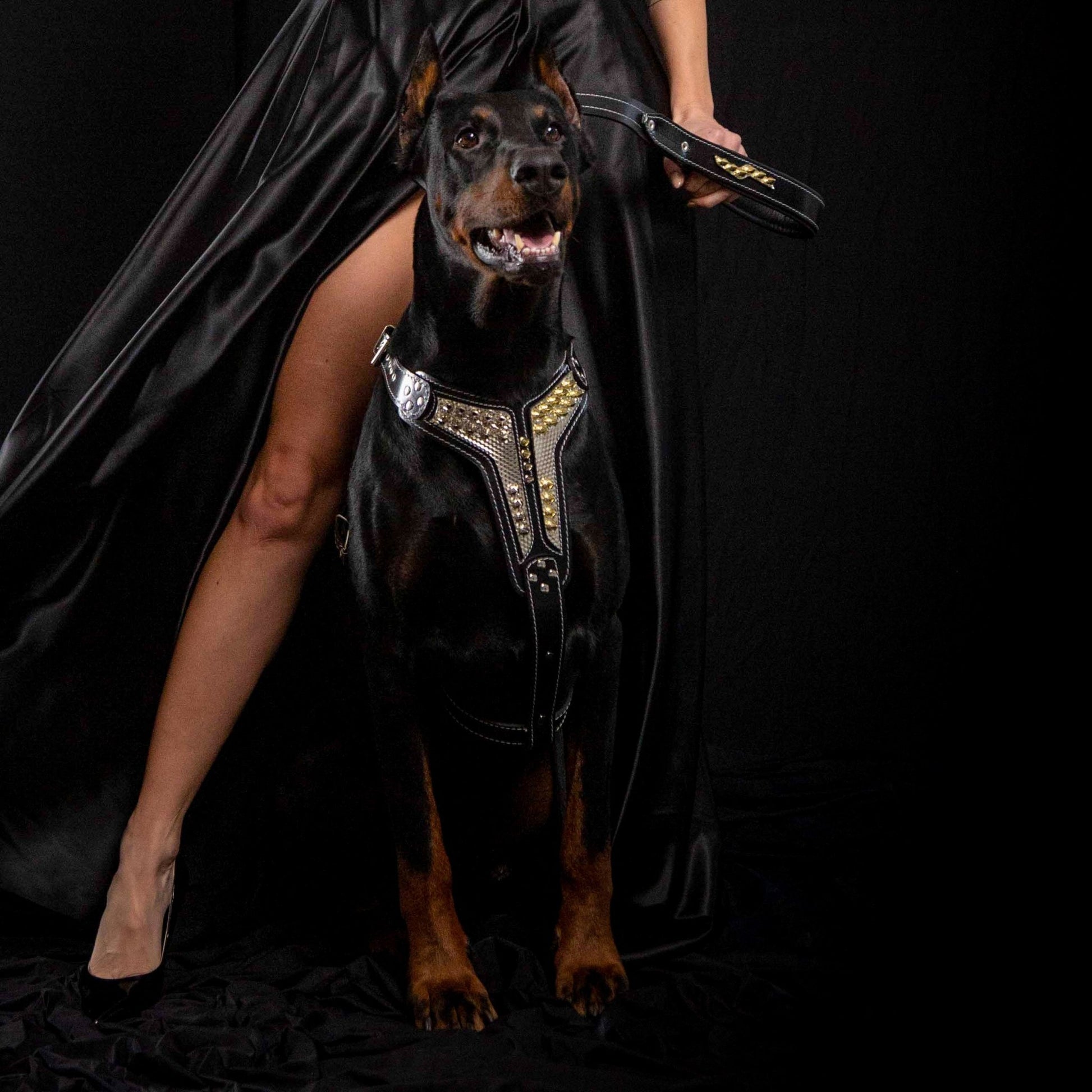 The ''Platinum'' harness for sale - High quality Harnesses | Mufaal.com