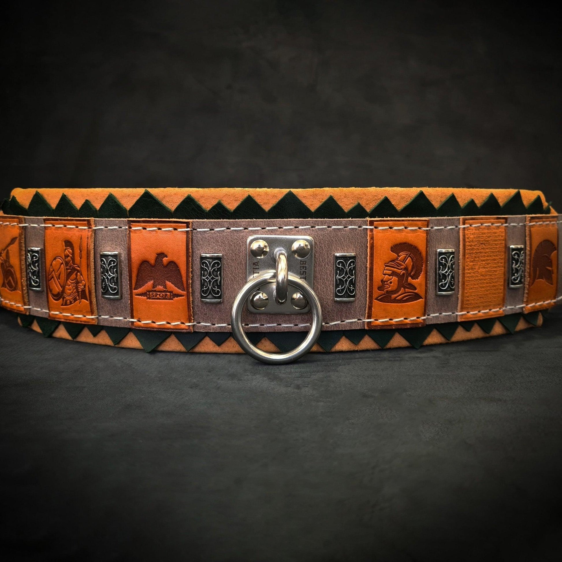 The ''SPQR'' Dog Collar for sale - High quality Collars | Mufaal.com