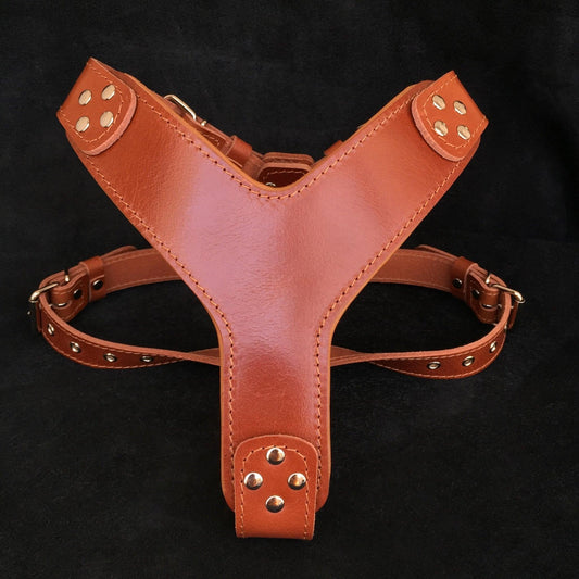 The ''Style'' harness Brown for sale - High quality Harnesses | Mufaal.com