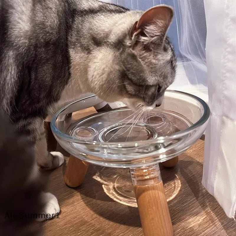Transparent elevated cat bowl by Mufaal.com, ergonomic anti-spill feeder designed for healthy digestion and easy feeding.
