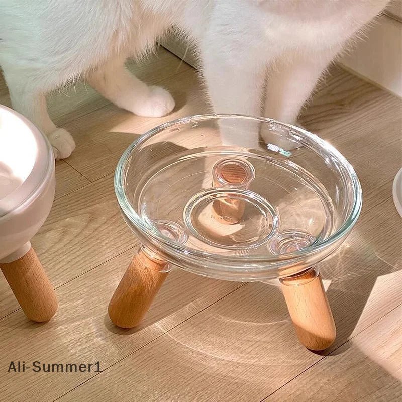 Transparent elevated cat bowl by Mufaal.com with ergonomic design and anti-spill features for healthy digestion.